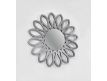 Mirror Sunflower