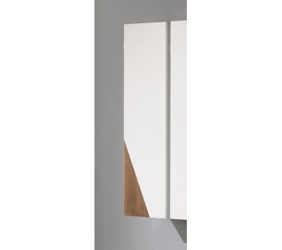 Module suspended Dodger I