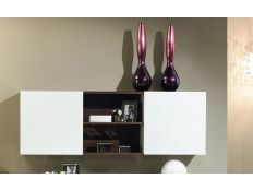 Módulo suspenso Dengoso