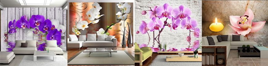 Wall murals of Orchids