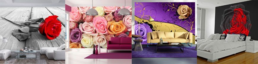 Wall Murals of Roses