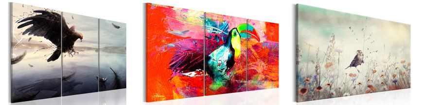 Quadros de P&aacute;ssaros