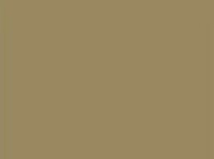 LM27 LACQUERED MATE BEIGE