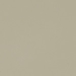 LACQUERED MATT GREY R25