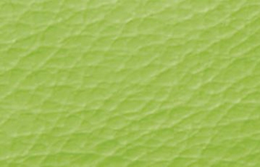 SYNTHETIC LEATHER GREEN 41