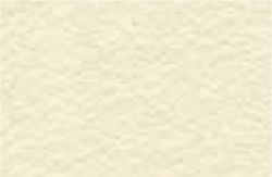 PELE CROSTA BEIGE E34