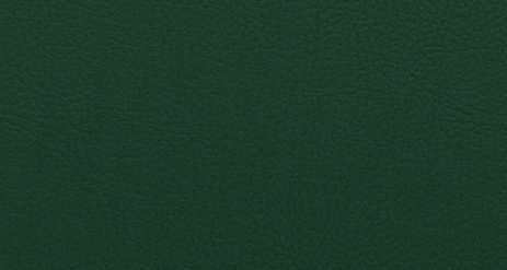 SYNTHETIC LEATHER NAPPATECH - FOREST